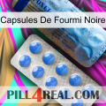 Black Ant Capsules 40